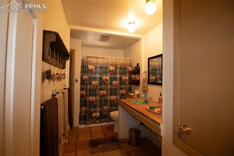 Tiny photo for 10 Ollie Court, Woodland Park, CO 80863 (MLS # 4327413)