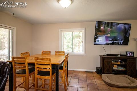 Tiny photo for 10 Ollie Court, Woodland Park, CO 80863 (MLS # 4327413)