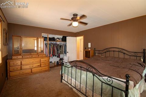 Tiny photo for 10 Ollie Court, Woodland Park, CO 80863 (MLS # 4327413)