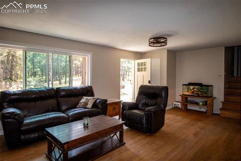 Tiny photo for 10 Ollie Court, Woodland Park, CO 80863 (MLS # 4327413)