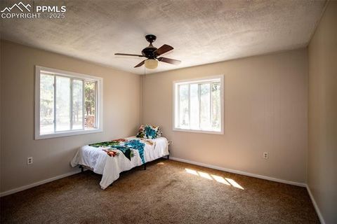 Tiny photo for 10 Ollie Court, Woodland Park, CO 80863 (MLS # 4327413)