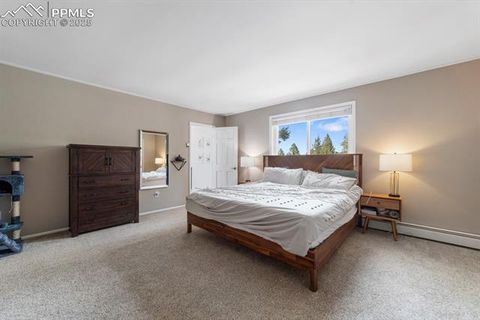 Tiny photo for 115 High View Circle, Woodland Park, CO 80863 (MLS # 4505637)