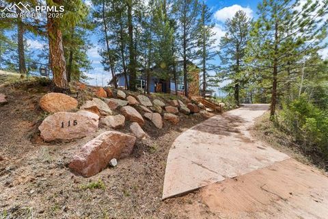 Tiny photo for 115 High View Circle, Woodland Park, CO 80863 (MLS # 4505637)
