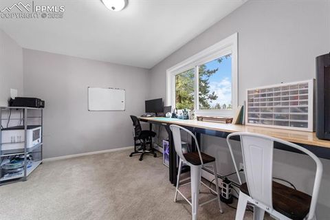 Tiny photo for 115 High View Circle, Woodland Park, CO 80863 (MLS # 4505637)