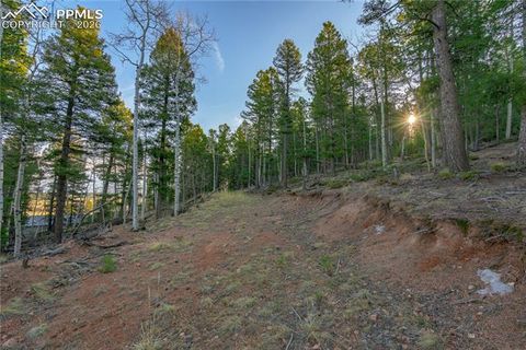Photo of 88 Malmsey Lane, Divide, CO 80814 (MLS # 8969647)