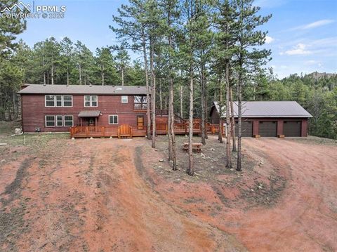 Photo of 46 Kingston Circle, Florissant, CO 80816 (MLS # 2411969)