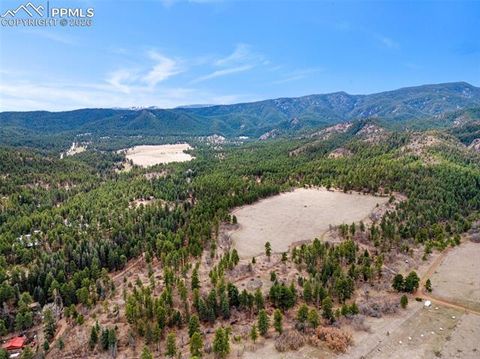 Tiny photo for 8912 S Pine Drive, Beulah, CO 81023 (MLS # 3397095)