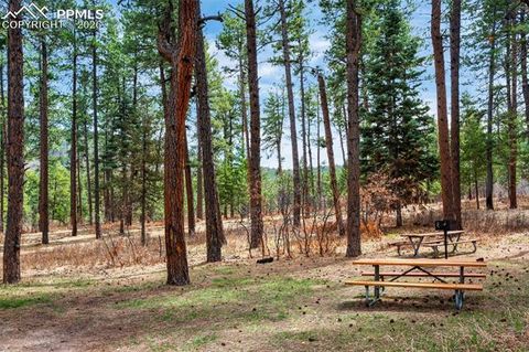 Tiny photo for 8912 S Pine Drive, Beulah, CO 81023 (MLS # 3397095)