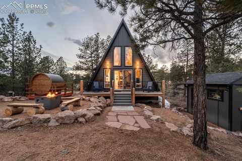 Photo of 121 Cheyenne Way, Florissant, CO 80816 (MLS # 5458268)