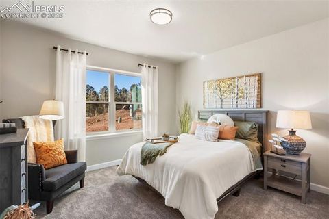 Tiny photo for 502 Brecken Court #B, Woodland Park, CO 80863 (MLS # 5530688)