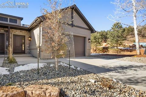 Photo of 502 Brecken Court #B, Woodland Park, CO 80863 (MLS # 5530688)