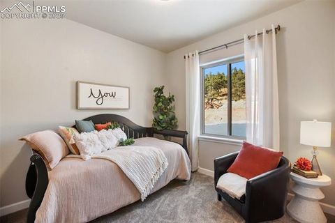 Tiny photo for 502 Brecken Court #B, Woodland Park, CO 80863 (MLS # 5530688)