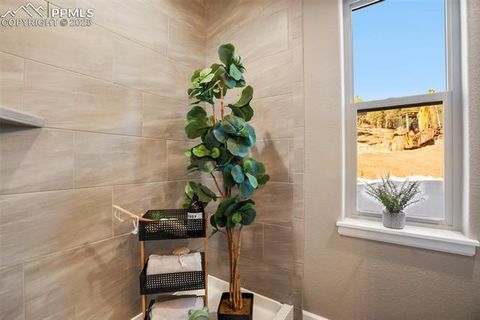 Tiny photo for 502 Brecken Court #B, Woodland Park, CO 80863 (MLS # 5530688)
