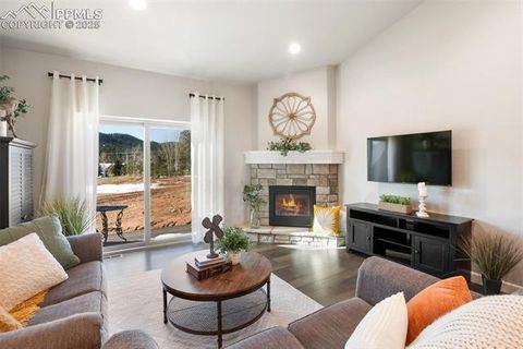 Tiny photo for 502 Brecken Court #B, Woodland Park, CO 80863 (MLS # 5530688)