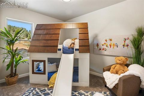 Tiny photo for 502 Brecken Court #B, Woodland Park, CO 80863 (MLS # 5530688)