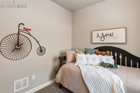 Tiny photo for 502 Brecken Court #B, Woodland Park, CO 80863 (MLS # 5530688)