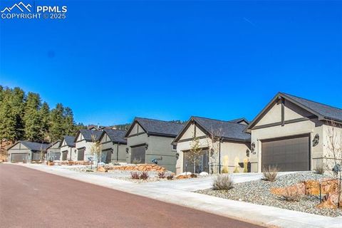 Tiny photo for 502 Brecken Court #B, Woodland Park, CO 80863 (MLS # 5530688)