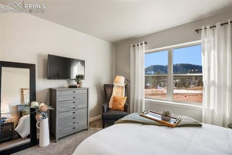 Tiny photo for 502 Brecken Court #B, Woodland Park, CO 80863 (MLS # 5530688)