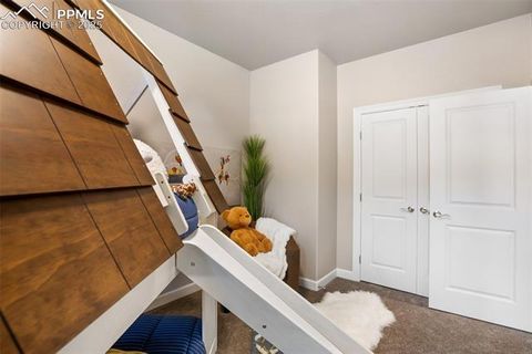 Tiny photo for 502 Brecken Court #B, Woodland Park, CO 80863 (MLS # 5530688)
