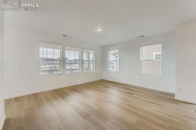 7813 Long Chute Trail