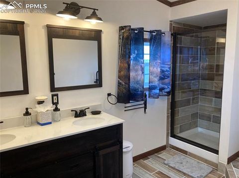 Tiny photo for 136 Black Knat Road, Fairplay, CO 80440 (MLS # 9233986)