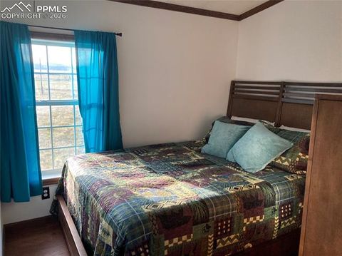 Tiny photo for 136 Black Knat Road, Fairplay, CO 80440 (MLS # 9233986)