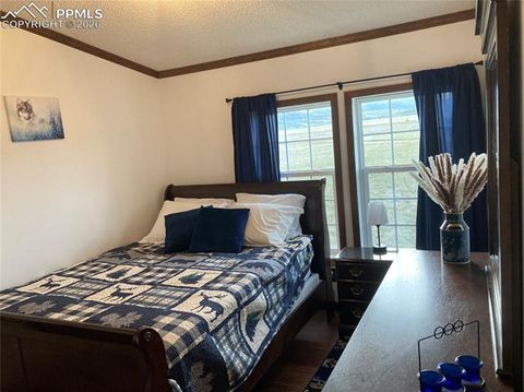 Tiny photo for 136 Black Knat Road, Fairplay, CO 80440 (MLS # 9233986)