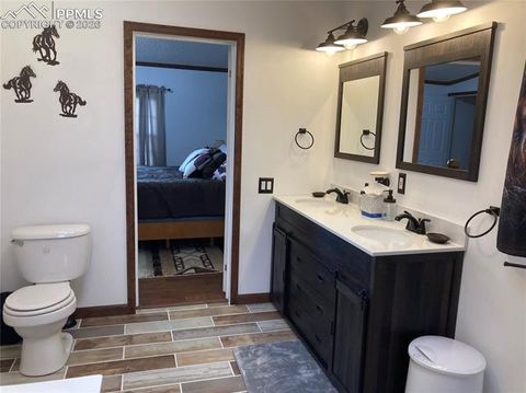 Tiny photo for 136 Black Knat Road, Fairplay, CO 80440 (MLS # 9233986)