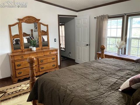 Tiny photo for 136 Black Knat Road, Fairplay, CO 80440 (MLS # 9233986)