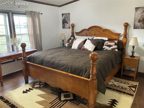 Tiny photo for 136 Black Knat Road, Fairplay, CO 80440 (MLS # 9233986)