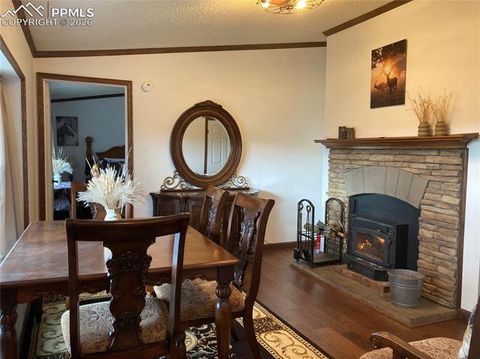 Tiny photo for 136 Black Knat Road, Fairplay, CO 80440 (MLS # 9233986)