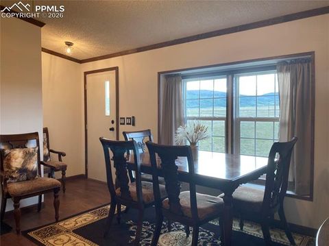 Tiny photo for 136 Black Knat Road, Fairplay, CO 80440 (MLS # 9233986)