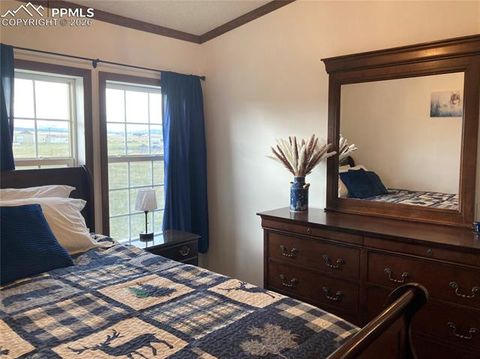 Tiny photo for 136 Black Knat Road, Fairplay, CO 80440 (MLS # 9233986)