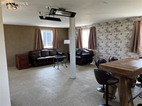 Tiny photo for 136 Black Knat Road, Fairplay, CO 80440 (MLS # 9233986)