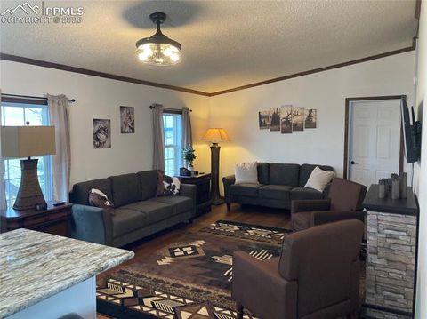 Tiny photo for 136 Black Knat Road, Fairplay, CO 80440 (MLS # 9233986)