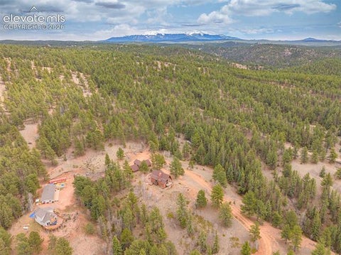 Tiny photo for 1736 COUNTY ROAD 3 Road, Florissant, CO 80816 (MLS # 7162113)
