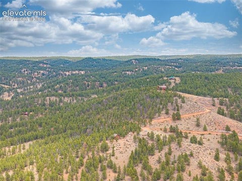 Tiny photo for 1736 COUNTY ROAD 3 Road, Florissant, CO 80816 (MLS # 7162113)