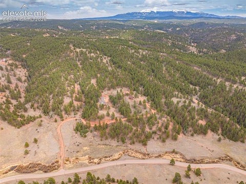 Tiny photo for 1736 COUNTY ROAD 3 Road, Florissant, CO 80816 (MLS # 7162113)