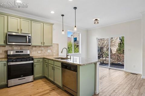 Tiny photo for 960 Fire Rock Place, Colorado Springs, CO 80921 (MLS # 6879037)