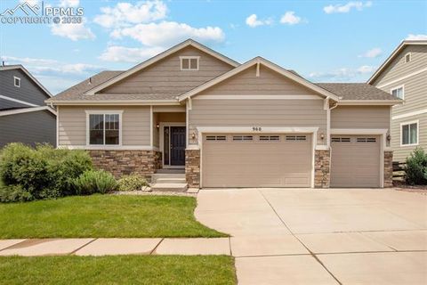 Photo of 960 Fire Rock Place, Colorado Springs, CO 80921 (MLS # 6879037)