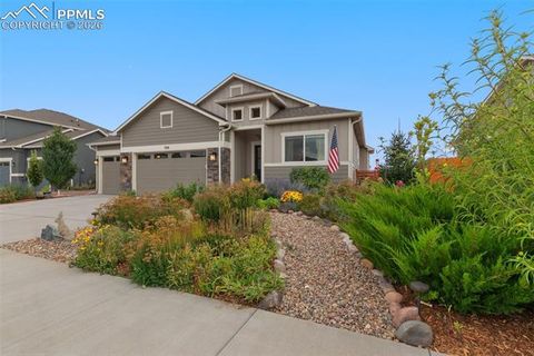 Photo of 7818 Twin Creek Terrace, Fountain, CO 80817 (MLS # 9342158)