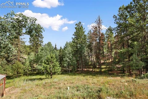Tiny photo for 410 Rangeview Road, Divide, CO 80814 (MLS # 7822446)