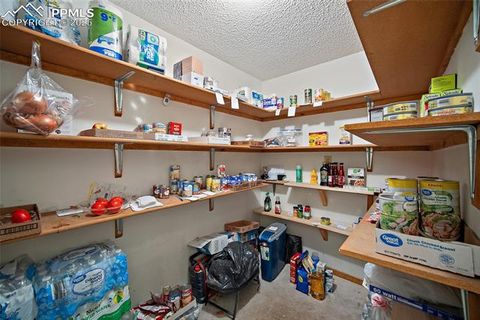 Tiny photo for 340 Ponderosa Court, Woodland Park, CO 80863 (MLS # 2387039)