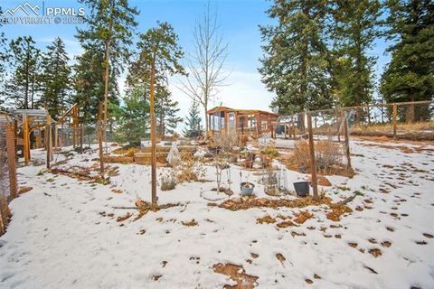 Tiny photo for 340 Ponderosa Court, Woodland Park, CO 80863 (MLS # 2387039)