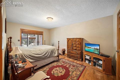 Tiny photo for 340 Ponderosa Court, Woodland Park, CO 80863 (MLS # 2387039)