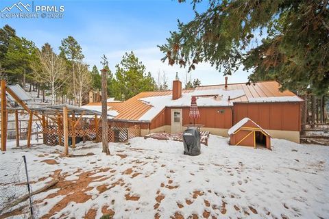 Tiny photo for 340 Ponderosa Court, Woodland Park, CO 80863 (MLS # 2387039)