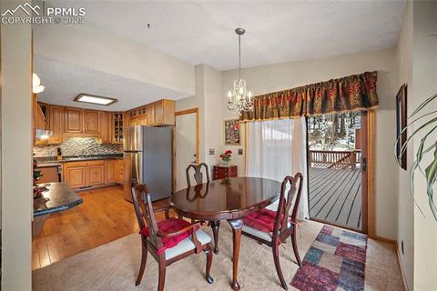 Tiny photo for 340 Ponderosa Court, Woodland Park, CO 80863 (MLS # 2387039)