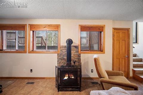 Tiny photo for 340 Ponderosa Court, Woodland Park, CO 80863 (MLS # 2387039)