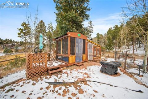 Tiny photo for 340 Ponderosa Court, Woodland Park, CO 80863 (MLS # 2387039)