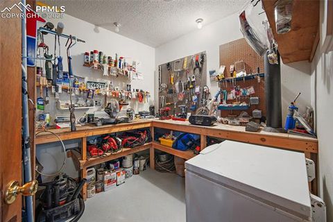 Tiny photo for 340 Ponderosa Court, Woodland Park, CO 80863 (MLS # 2387039)